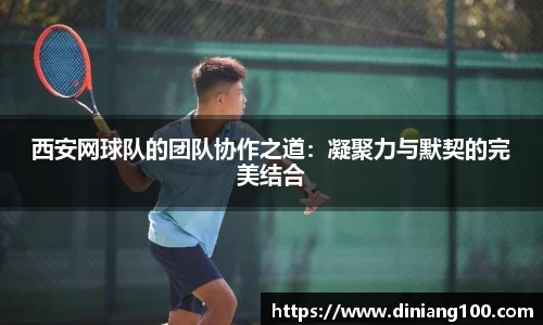 bsports官网入口